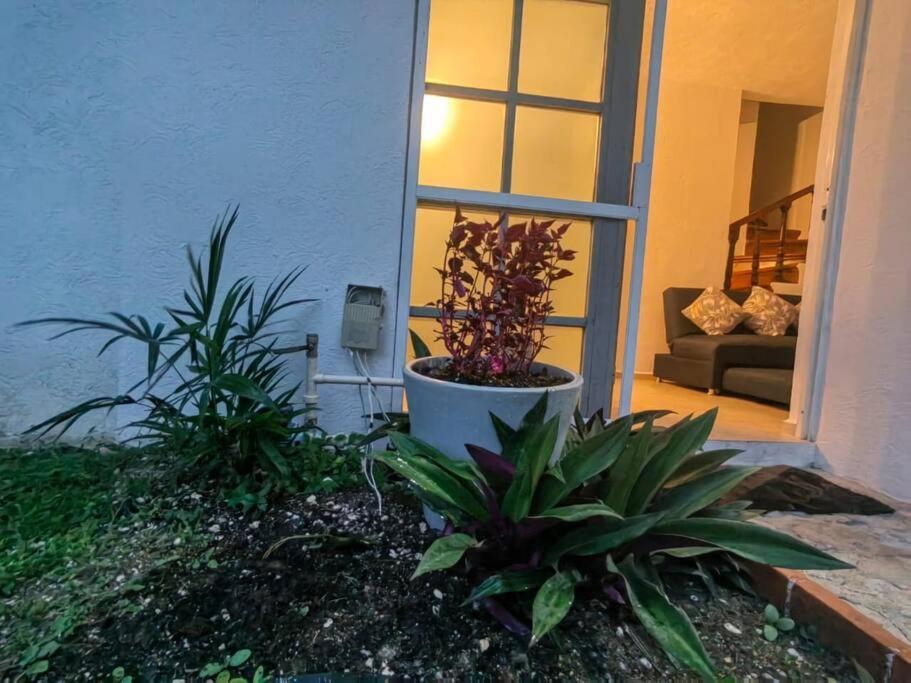 Bonita Casa A 3 Km De Playa Xcalacoco Auto Opcional Сasa de vacaciones *